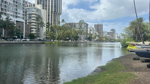 Garbage builds up on Ala Wai Canal