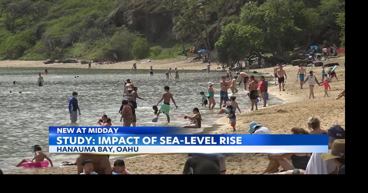 Nearly 90 of usable beach at Hanauma Bay could be underwater by 2030