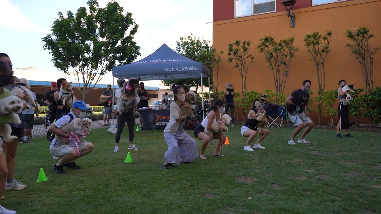 Bark in the Park - July 2022 - Our Kaka'ako