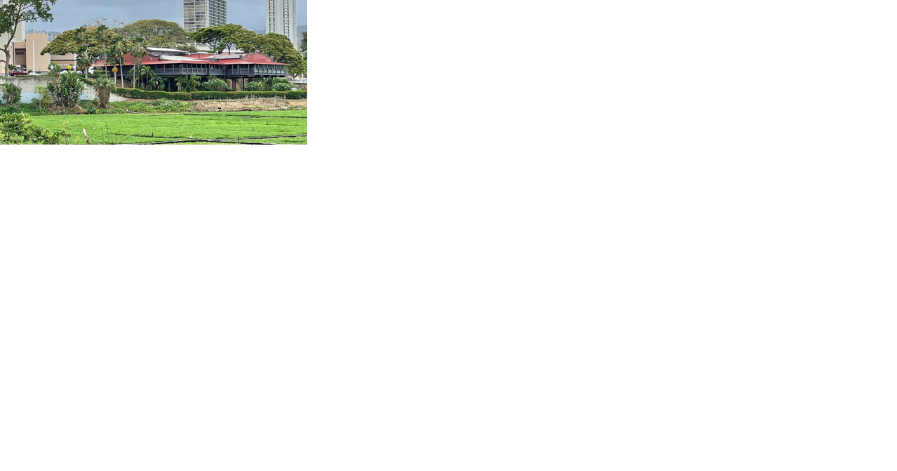Sakura Japanese Restaurant to open in former Monterey Bay Canners' space at Pearlridge Center - Vimarsana News