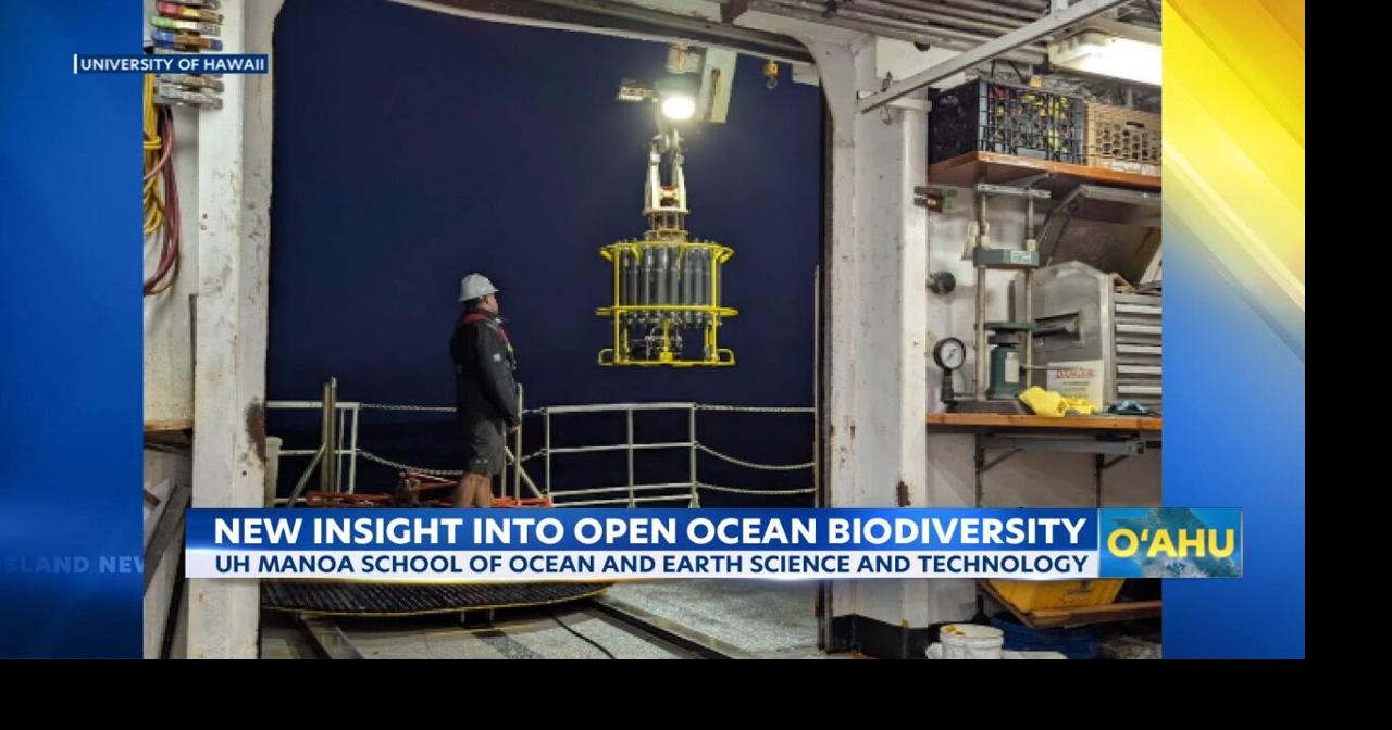 UH researchers solve ocean biodiversity mystery after 8 years