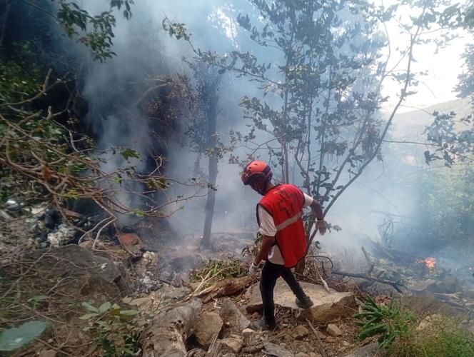 Five Americans, Ecuador intelligence chief killed in tourist helicopter  crash in Kenya | National | kitv.com