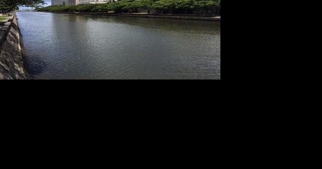 Rainfall creates spike in Ala Wai Canal bacteria, study shows - Vimarsana News