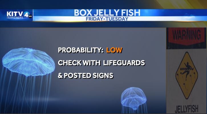 Aloha Friday Weather: Afternoon clouds and showers; Box jelly fish probable  | Top Stories | kitv.com