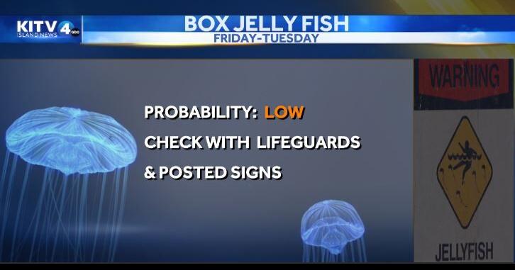 Tuesday Weather: Light trade winds with brief showers, box jelly fish alert  | Local | kitv.com