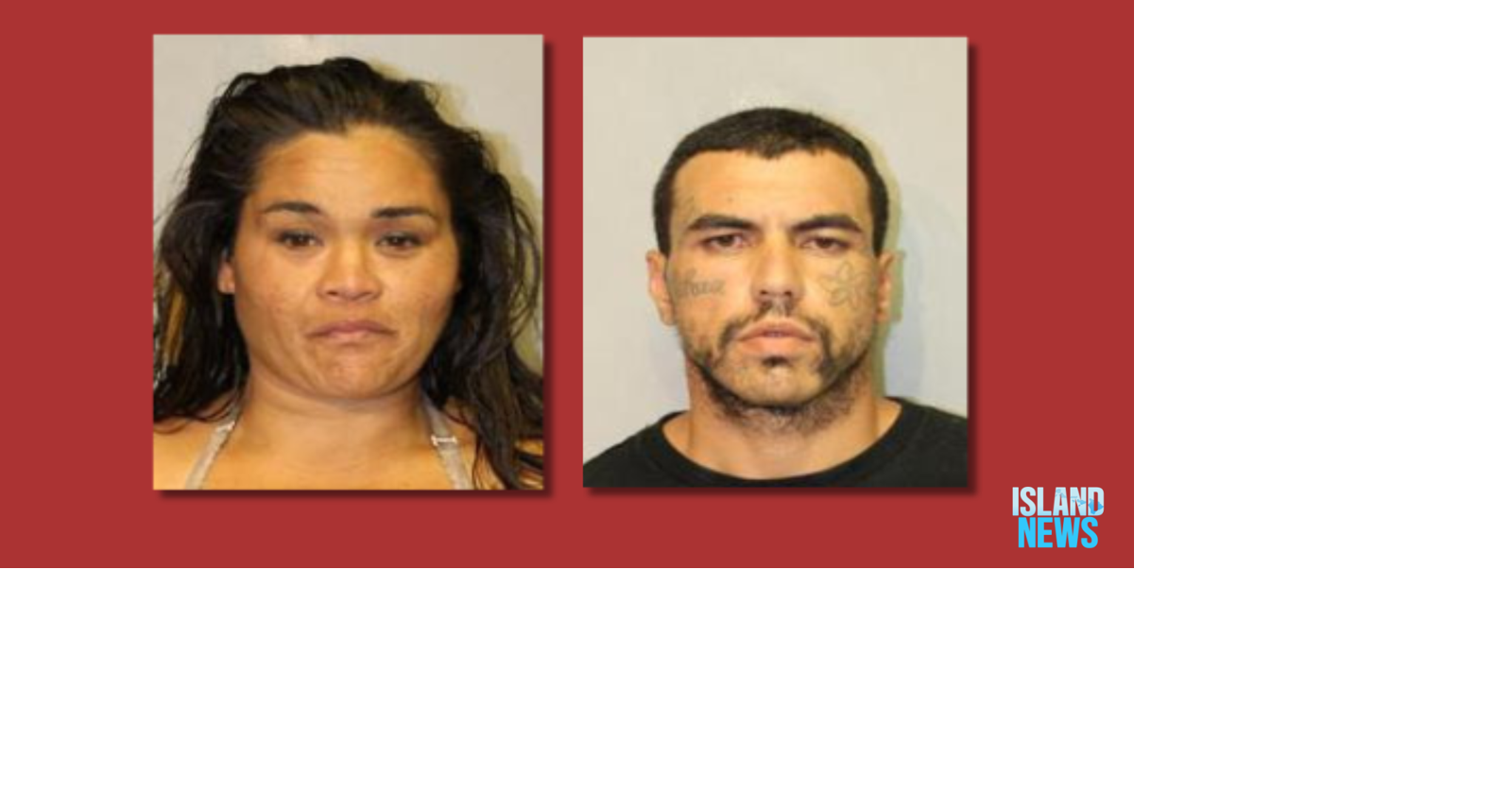 Hilo couple arrested for stealing an elderly man's rental car | News ...