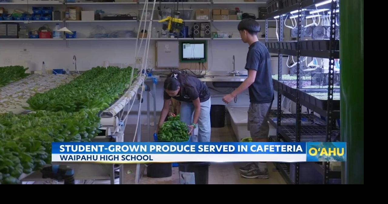 Student-grown produce now served in school lunches on Maui and Oahu