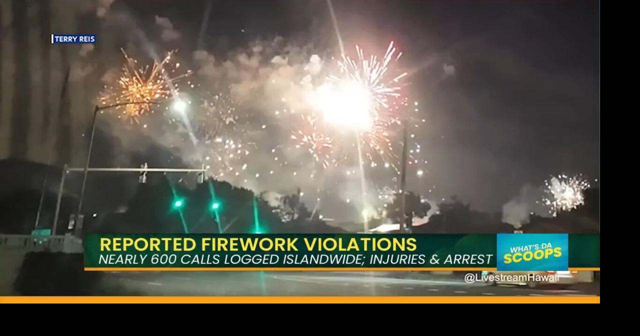 Did Enforcement & New Laws Damper Your NYE Celebrations? | Island Life ...