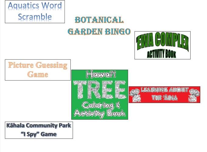 PARKS AND REC ACTIVITIES HONOLULU visual data 2