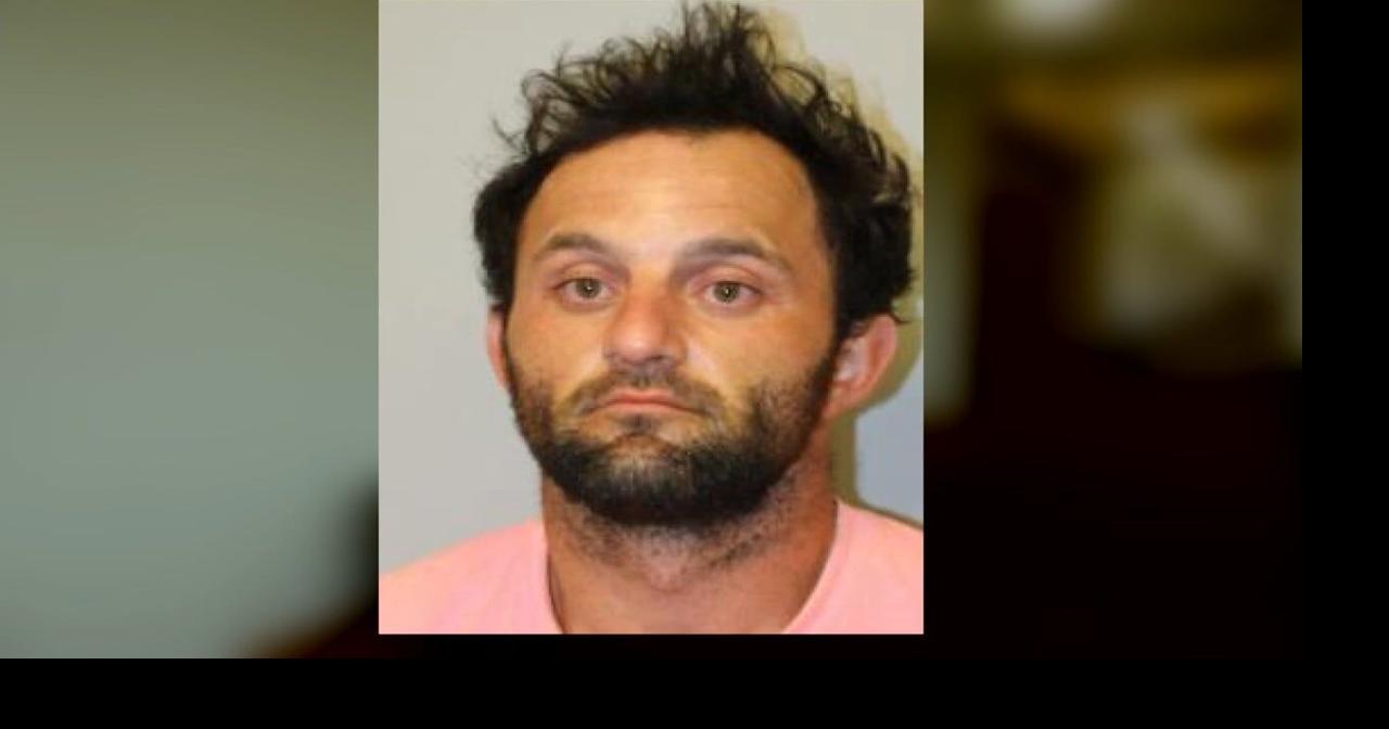 Big Island man charged with car theft, meth possession for incident in ...