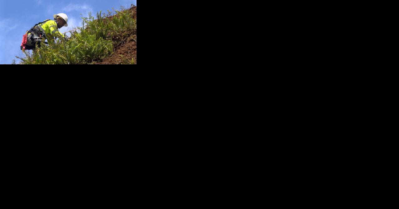 Erosion concerns rise among Kalihi Valley residents on Umalu Place - Vimarsana News