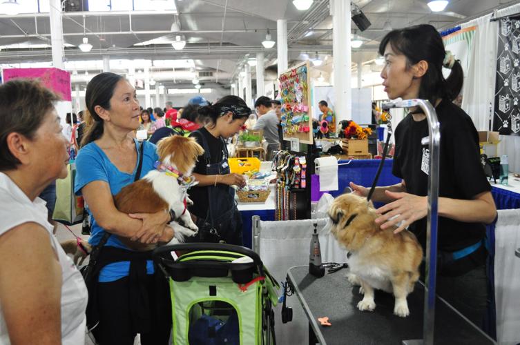 Hawaii’s Pet Expo is returning after a 3year hiatus Business