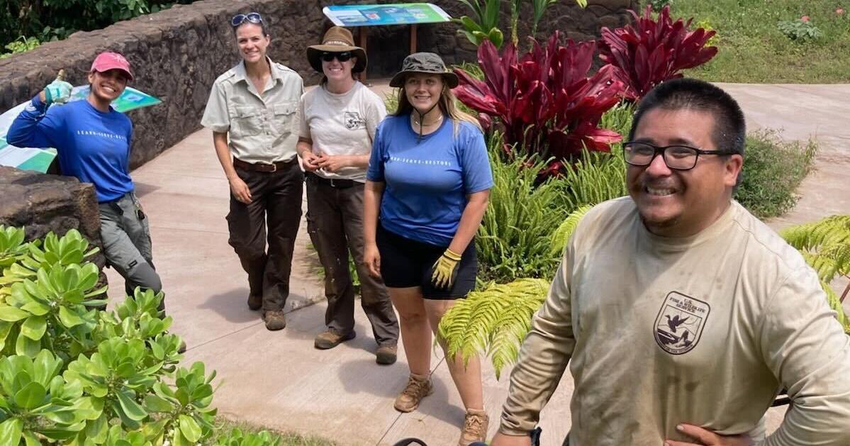 Mass Layoffs Endanger Hawaii's Wildlife Conservation Efforts