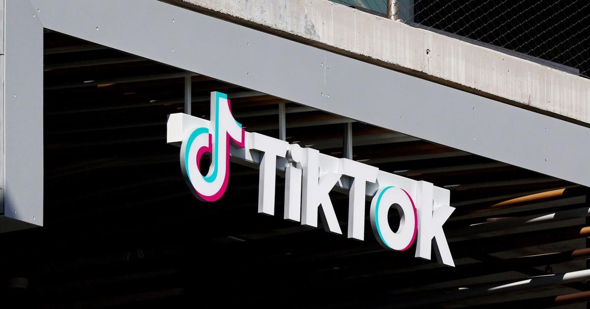 L'Italia multa TikTok da 11 milioni di dollari per non aver tutelato i minori |  un lavoro