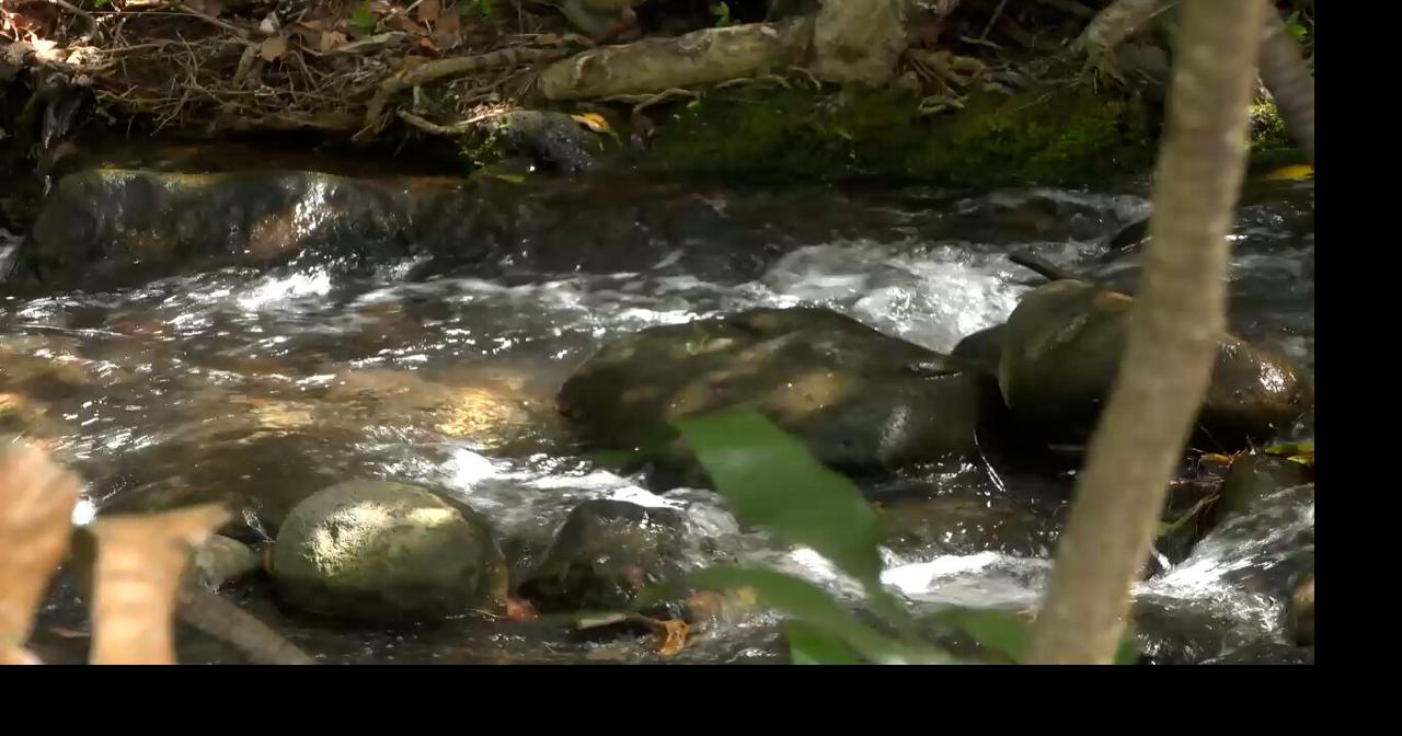 'Historic' | Supreme Court sides with advocates to restore stream flows ...