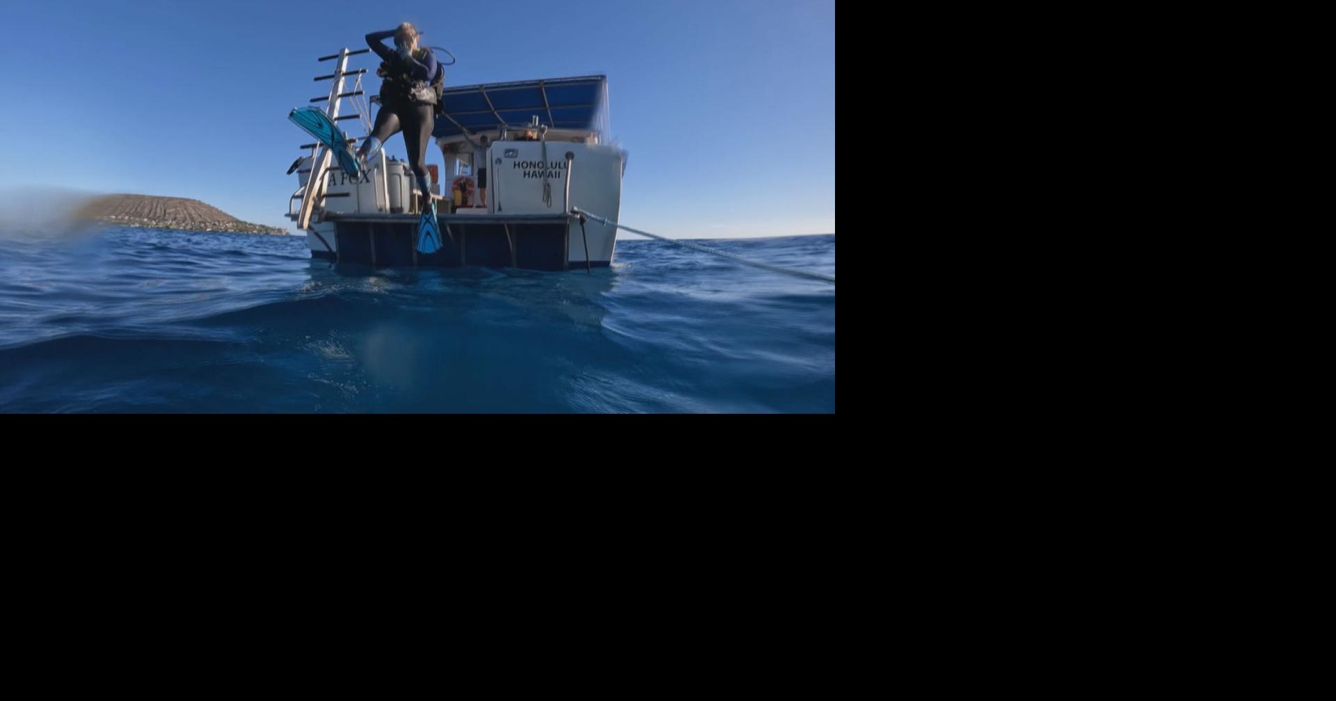 Hawaii dive businesses make a splash at California trade show, highlighting scuba tourism