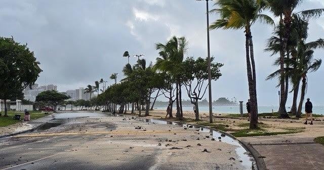 Magic Island partially reopens after Hurricane Lowell, cleanup efforts continue