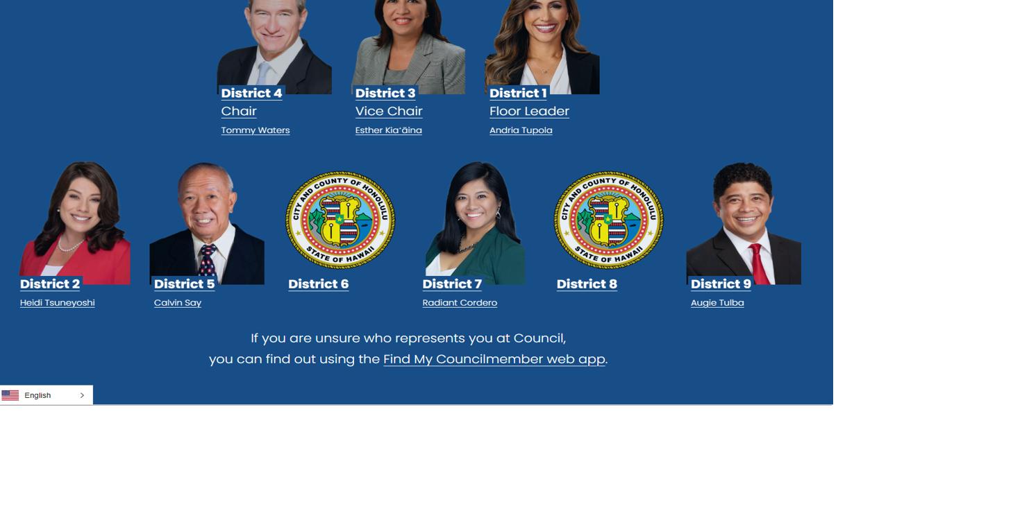 New members elected to Honolulu City Council could affect power dynamic ...
