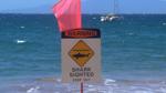 Shark warning signs posted at Waimea Bay