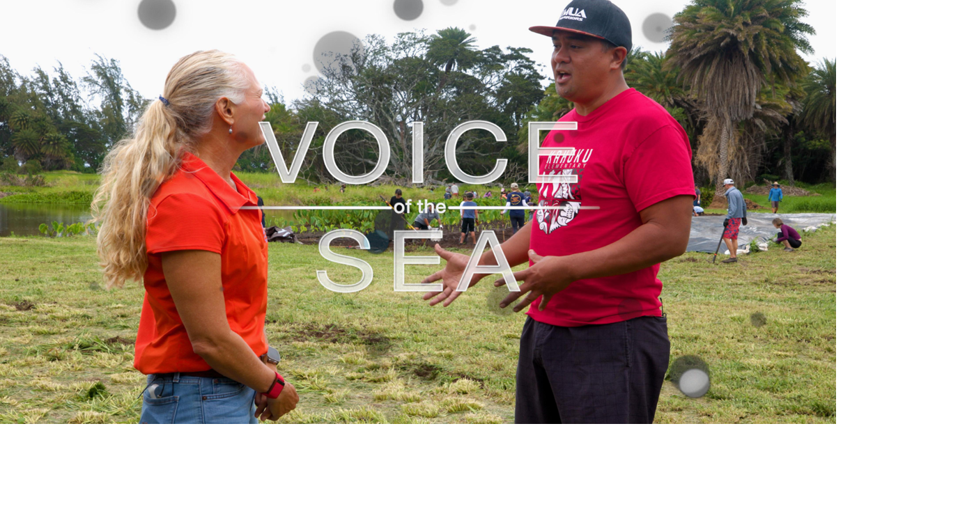 ‘Voice of the Sea’ wins record 10 Telly Awards
