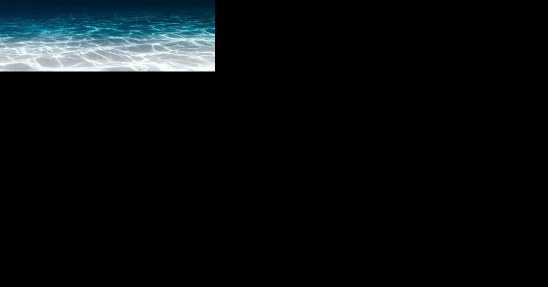 78-year-old snorkeler in serious condition after found unresponsive at Turtle Bay - Vimarsana News