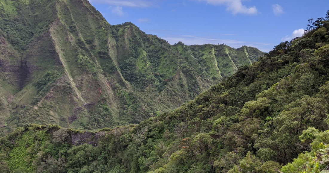 Two teen hikers rescued from Moanalua Ridge Trail after experiencing muscle cramps