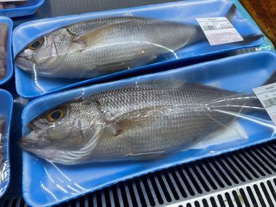 Sustainable Fish to Eat  Marine Stewardship Council
