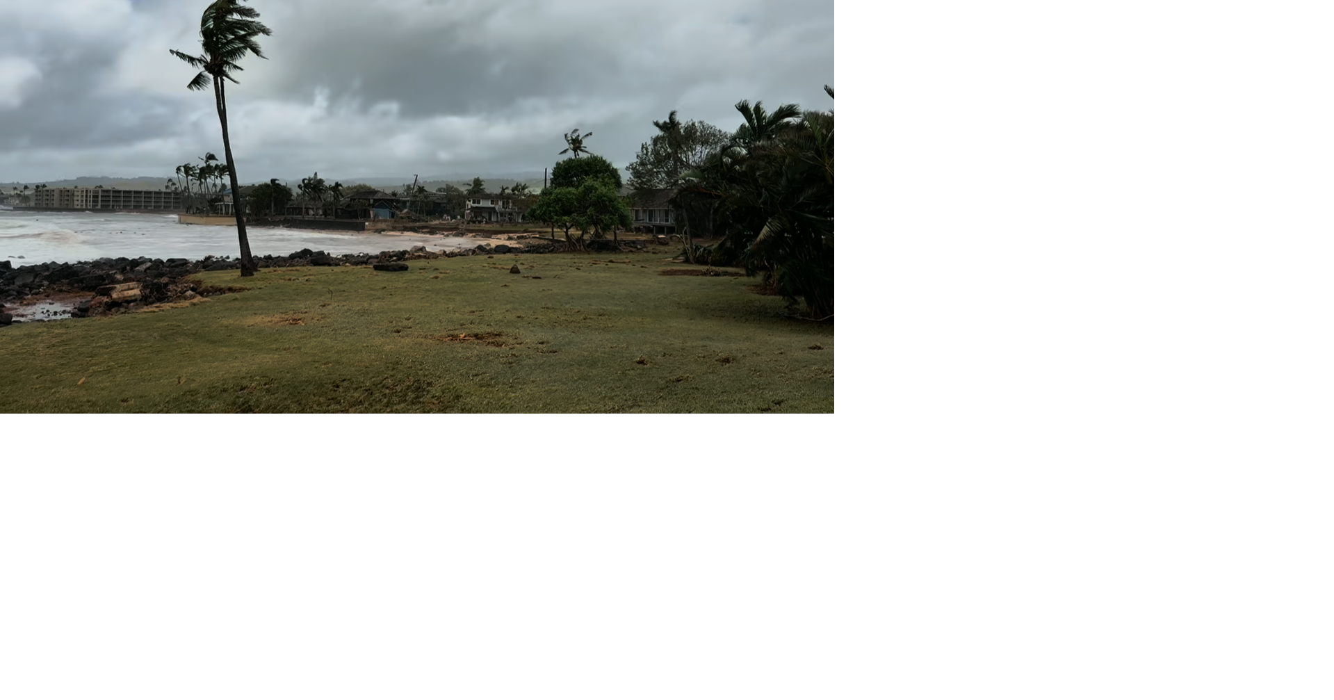 Coverage image for: Medical Examiner identifies man killed by falling tree in Waimanalo during storm