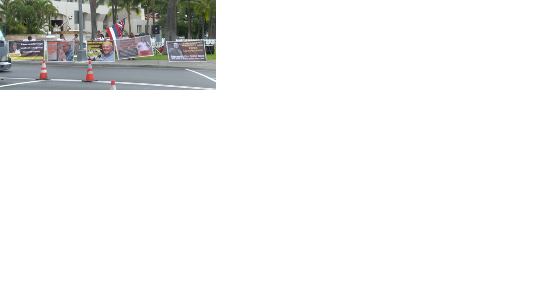 Sen. Fevella's gun violence rally marred by controversial sign waving, drawing criticism - Vimarsana News