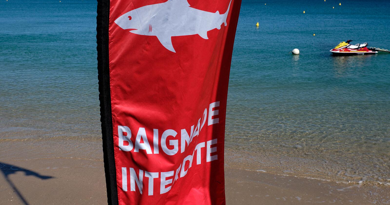 Tourist killed in shark attack off New Caledonia - Vimarsana News