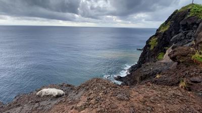 Search suspended for missing flight from Maui