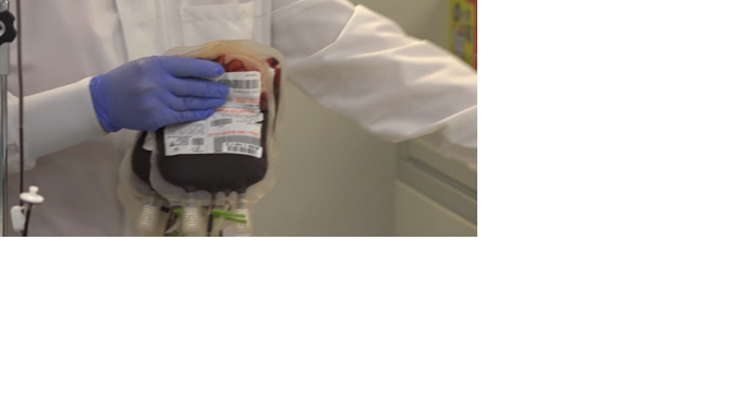 Hawaii Blood Bank urges the community to come donate - Vimarsana News