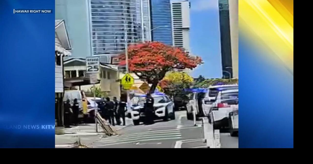 Oahu woman arrested for alleged car theft | Video | kitv.com