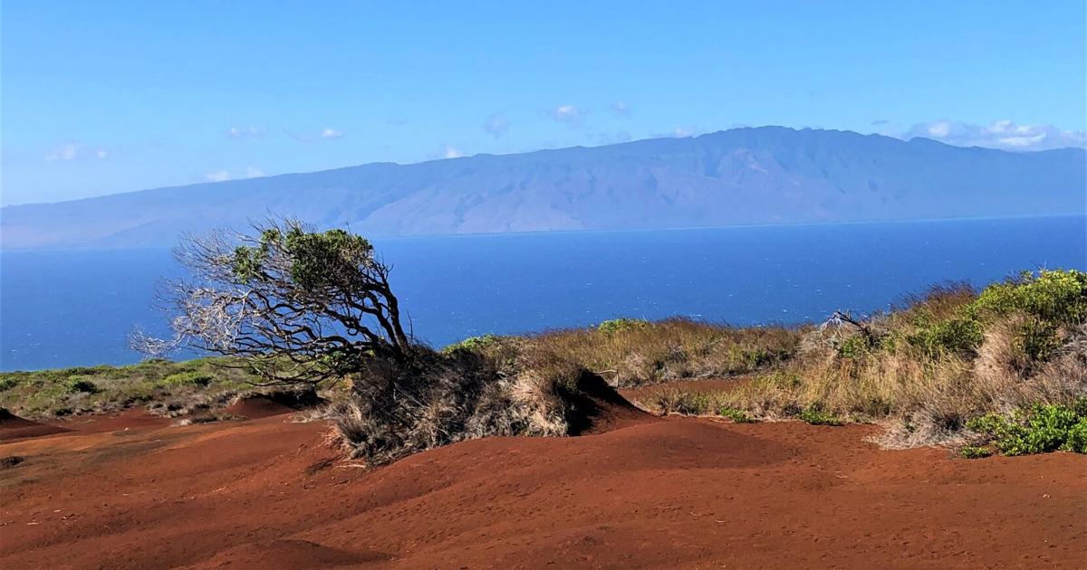 Gemischtes Wetter, leichter Wind, bewölkter Himmel | Lokal Gemischtes Wetter, leichter Wind, bewölkter Himmel | Lokal