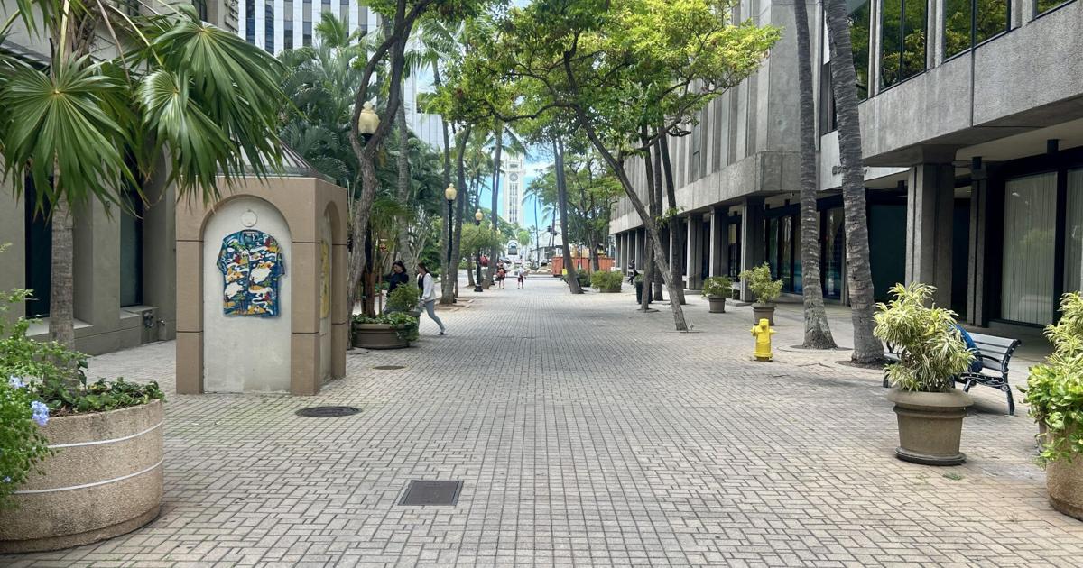 What will new Business Improvement District mean for Downtown Honolulu?