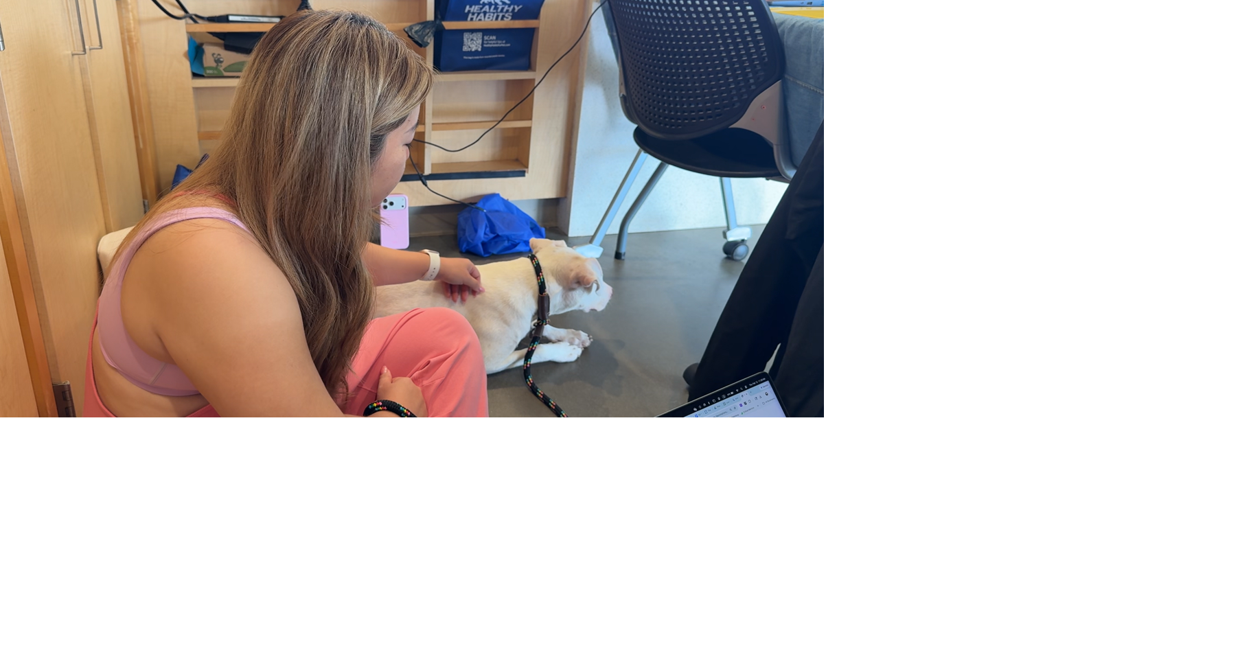 Oahu couple's adoption of a stray dog in Waianae goes viral