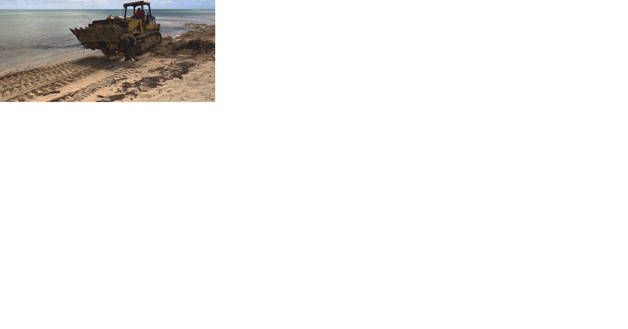 City crews clean up tons of trash at Kahala Beach after heavy rains - Vimarsana News