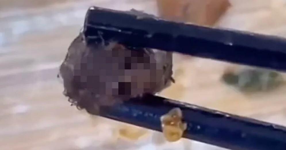 Strange thing found in student's meal is rat head, Chinese officials rule after food scare anger | News - Vimarsana News