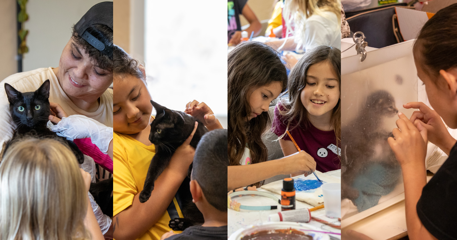 Kauai's Summer Critter Camp returns for young animal lovers | Business - Vimarsana News
