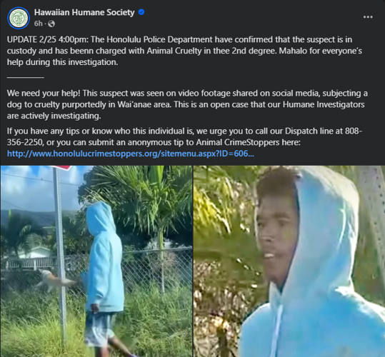 Animal cruelty suspect arrested after video of dog abuse goes viral ...