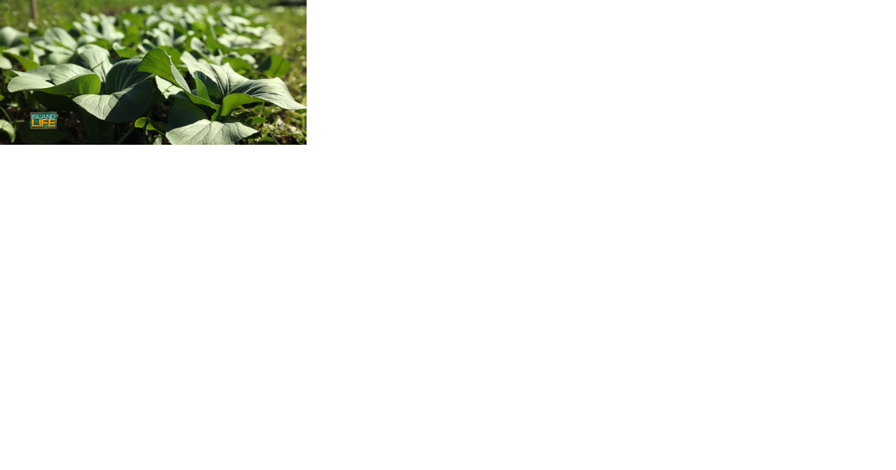 Enjoy a farm to table Experience with Farm to Barn Cafe - Vimarsana News