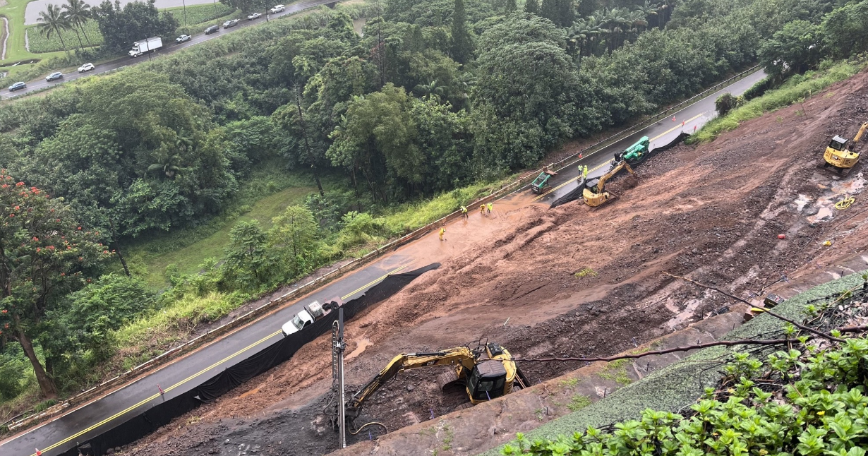 【2株半額・3株目無料】P. hillii kilean Opportunity to Build on Ocean View Lot in Kihei-Wailea, Maui