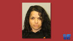 Hilo woman faces charges for alleged Heroin distribution near Lincoln Park