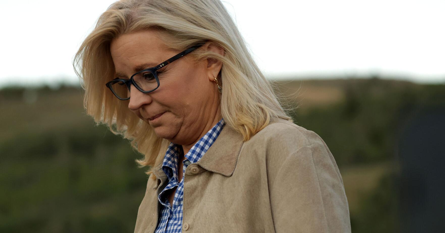 How Liz Cheney lost Wyoming's lone seat in the House - Vimarsana News