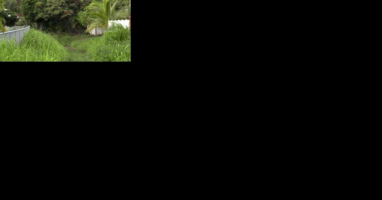 City addresses concerns over clogged canals in Kailua - Vimarsana News