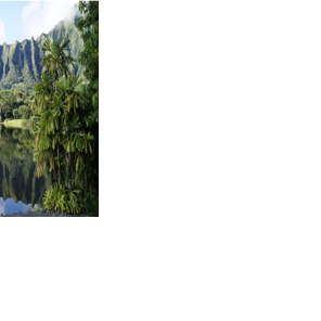 Ho'omaluhia Botanical Garden seeks community input for long-range planning