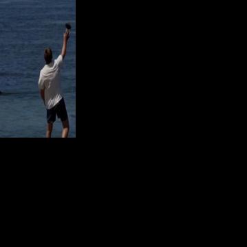 Sen. Schatz urges stronger education efforts after rock gets thrown at monk seal in Lahaina