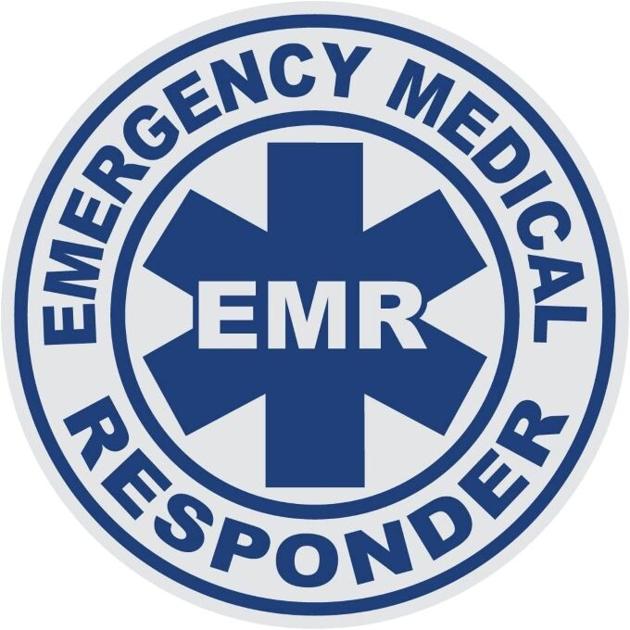 Ep,M5 Emergency Lighting Editable Form : Former ...