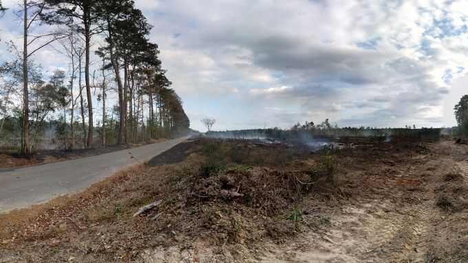 County Rd 121 Fire Unattended fire scorches about 100 acres, threatens homes | Local News ...