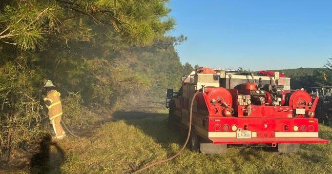 Firefighters battled blaze just east of Jasper - Vimarsana News